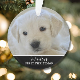 Adorno Elegante Primera Navidad de la Mascota con Letra