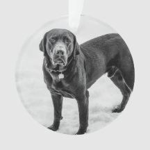 En memoria - Memorial personalizable Black Lab