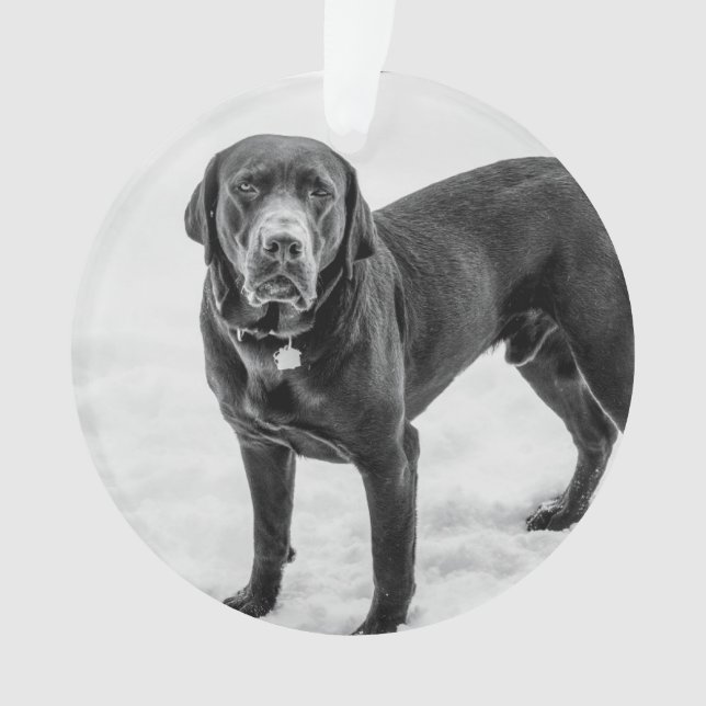 Adorno En memoria - Memorial personalizable Black Lab (Anverso)
