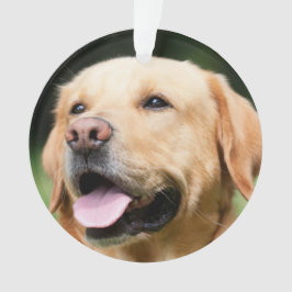 Adorno En memoria - Monumento al personalizable del Labor