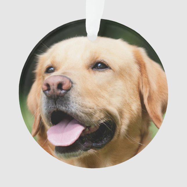 Adorno En memoria - Monumento al personalizable del Labor (Anverso)