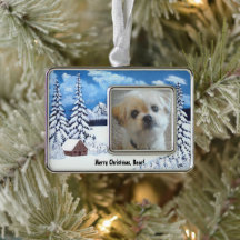 Adorno enmarcado de perro Malshi Winter Wonder