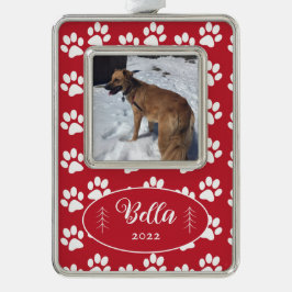 Adorno Enmarcado Huellas de Pata Patrón Rojo Foto 