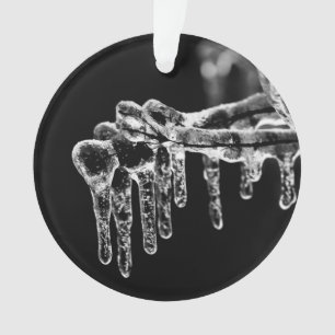 Adorno entrar en invierno helado