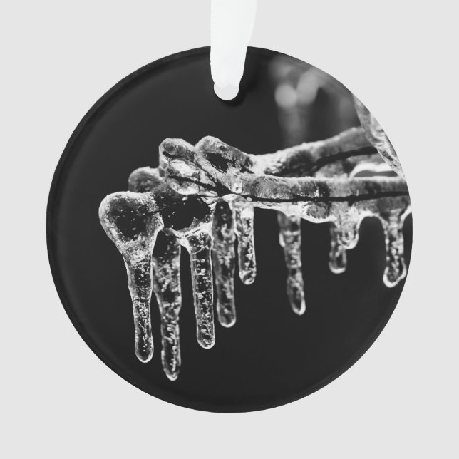 Adorno entrar en invierno helado (Anverso)