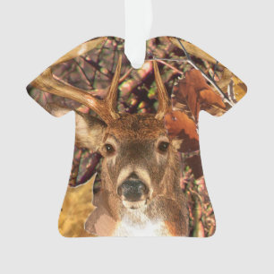 Adorno Escena de la temporada otoño en el Deer de cola b