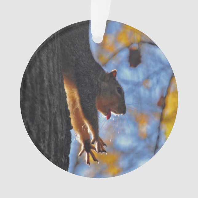 Adorno Estirar la ardilla (Anverso)