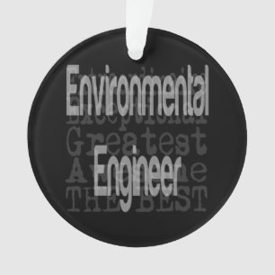 Adorno Extraordinaria de ingeniero ambiental