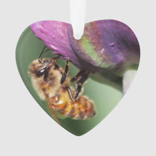 Adorno Faln Fuzzy Little Bee