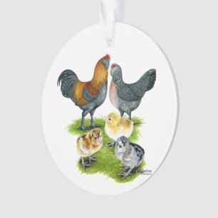 Adorno Familia de Gallinas Ameraucanas