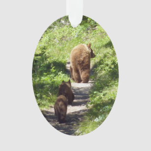 Adorno Familia de oso marrón