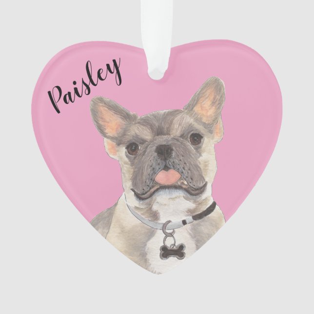 Adorno Fawn Tricolo Frenchie (Anverso)