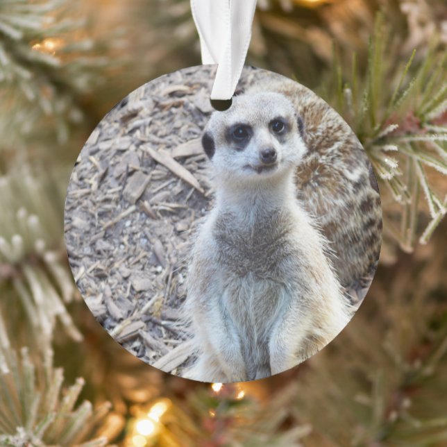 Adorno Feliz Meerkat, (Árbol)