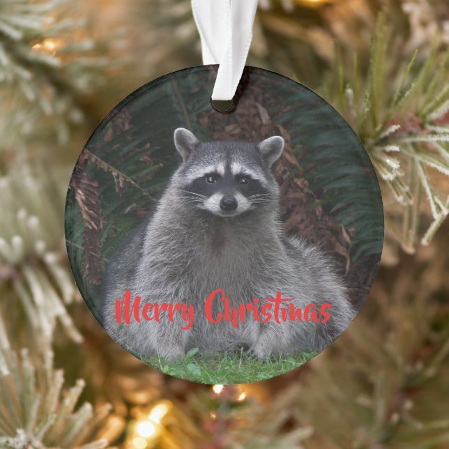 Adorno Feliz Navidad Cute Forest Raccoon (Árbol)