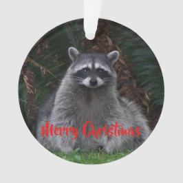 Adorno Feliz Navidad Cute Forest Raccoon