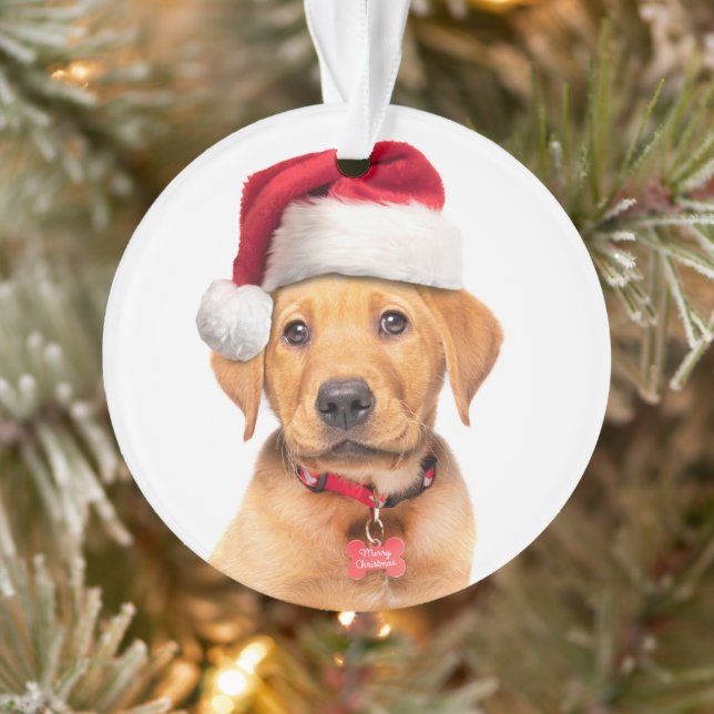 Adorno Feliz Navidad labrador en Santa Hat (Árbol)
