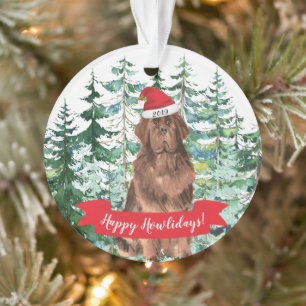 Adorno Feliz Navidad Perro Terranova Navidad