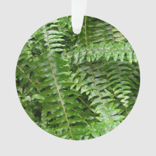 Adorno Fern Fronds I Green Nature