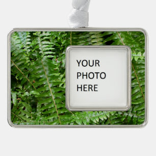 Adorno Fern Fronds I Green Nature