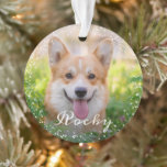 Adorno Festividad personalizada de perros Mascotas de fot<br><div class="desc">Ornamento de feriado de porcino con foto Mascota personalizado de 2</div>