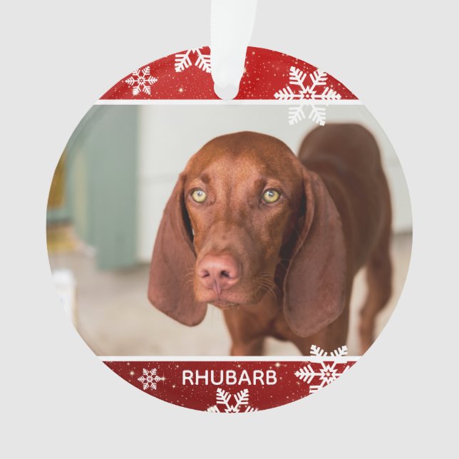 Adorno Festividad Red 2 Navidades de fotografía | MASCOTA (Anverso)