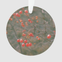 Festividad Red Sparkling Berries Foto de la natura