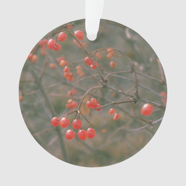 Adorno Festividad Red Sparkling Berries Foto de la natura (Anverso)
