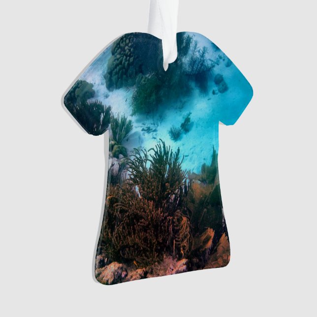 Adorno Filón de Bonairean (Anverso)