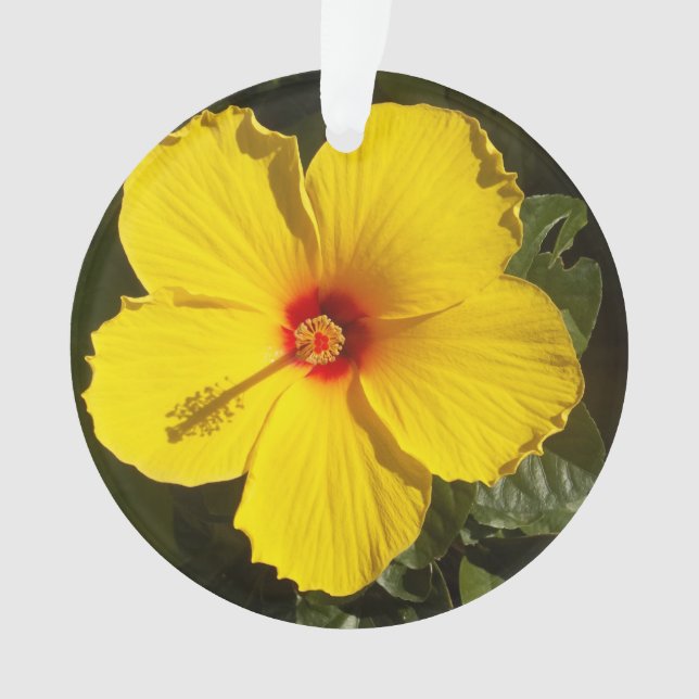 Adorno Flor amarilla hibiscus (Anverso)