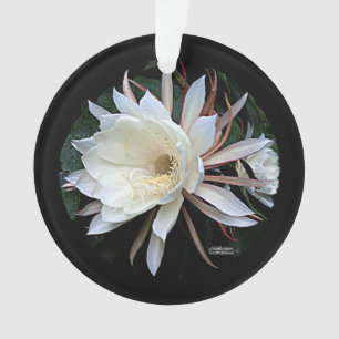Adorno Flor de Cactus Epífita