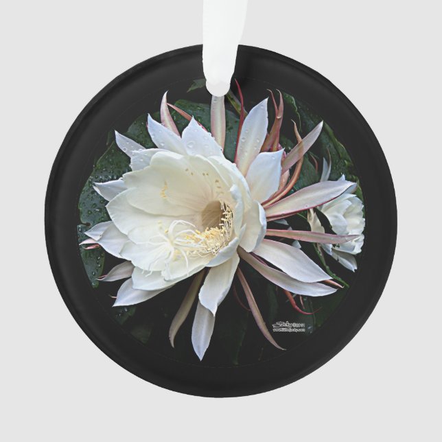 Adorno Flor de Cactus Epífita (Anverso)