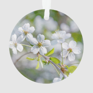 Adorno Flor de cerezo blanca