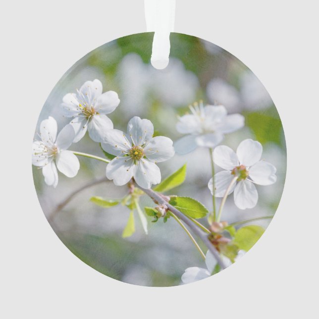 Adorno Flor de cerezo blanca (Reverso)