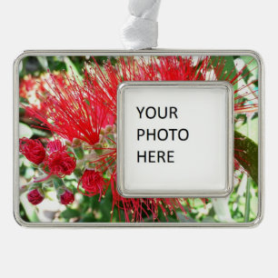 Adorno Flor de frasco rojo tropical floral