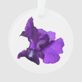 Adorno Flor de iris púrpura