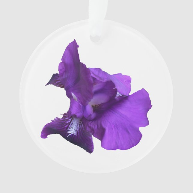 Adorno Flor de iris púrpura (Anverso)