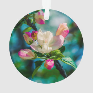 Adorno Flor de manzano silvestre y capullos