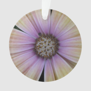 Adorno Flor de margarita amarilla y morada