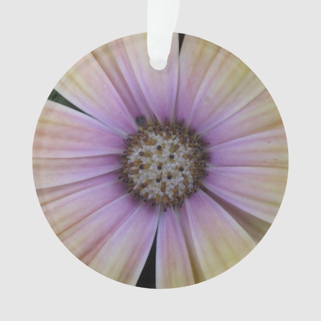 Adorno Flor de margarita amarilla y morada (Anverso)