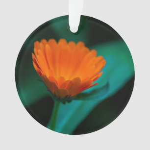 Adorno flor de margarita naranja