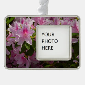 Adorno Flor de primavera rosada de Azalea Bush