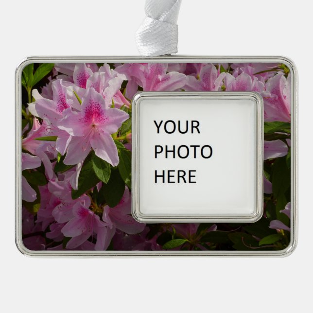 Adorno Flor de primavera rosada de Azalea Bush (Anverso)