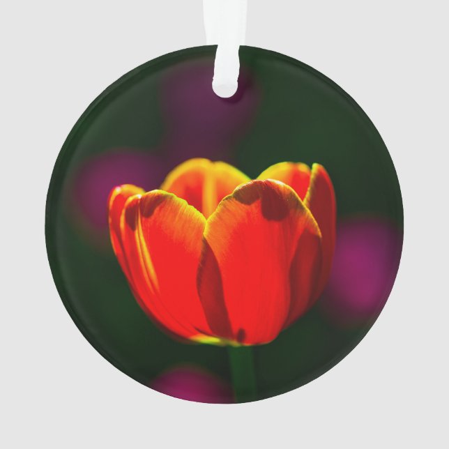 Adorno Flor de tulipán rojo (Reverso)