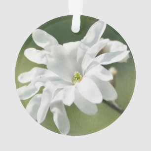 Adorno Flor magnolia blanca