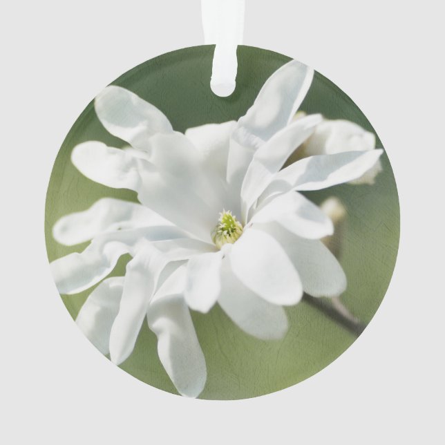 Adorno Flor magnolia blanca (Reverso)