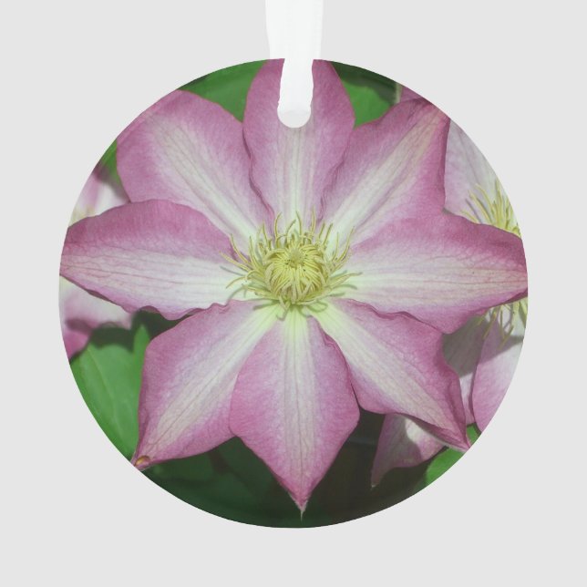 Adorno Flor Primaria Clematis rosa y blanca (Reverso)