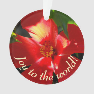 Adorno Flor roja hibiscus en el sol