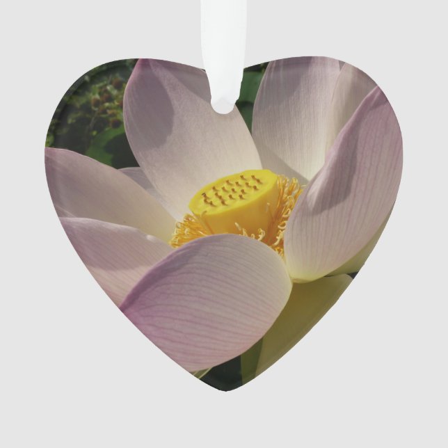 Adorno Flor rosa Lotus III flor de verano (Anverso)