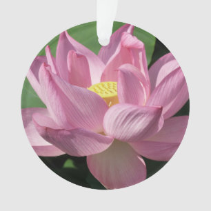 Adorno Flor rosa Lotus IV