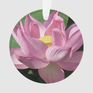 Adorno Flor rosa Lotus IV
